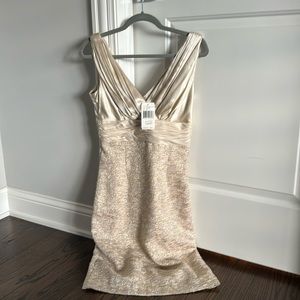 Beautiful Kay Unger dress